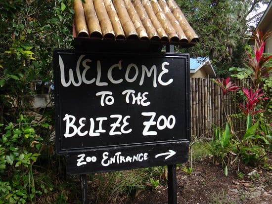 Belize-Zoo